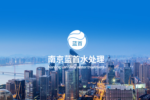 六枝特建站-南京蓝首水处理设备有限公司